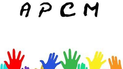 Annual Parochial Church Meeting (APCM)