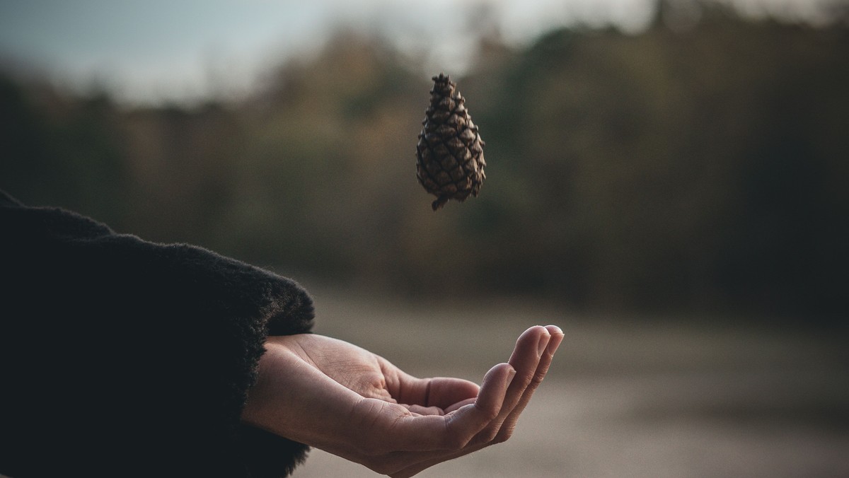 Sermon for The Second Sunday of Easter: Only In Doubt Can We Have Faith