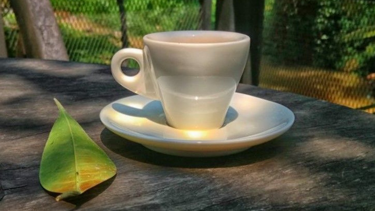 Velkommen til Espresso-tjenester i juni og august - når Meditativ Time holder sommerferie