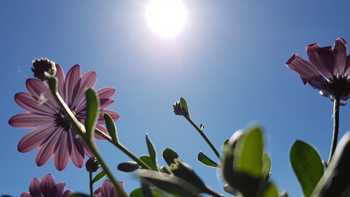 Die neue KIRCHENINFO für Juni bis September 2022
