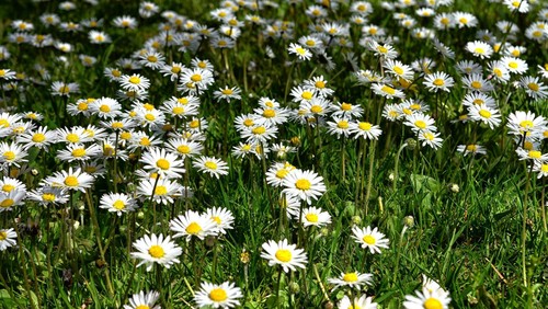 Endlich Sommer