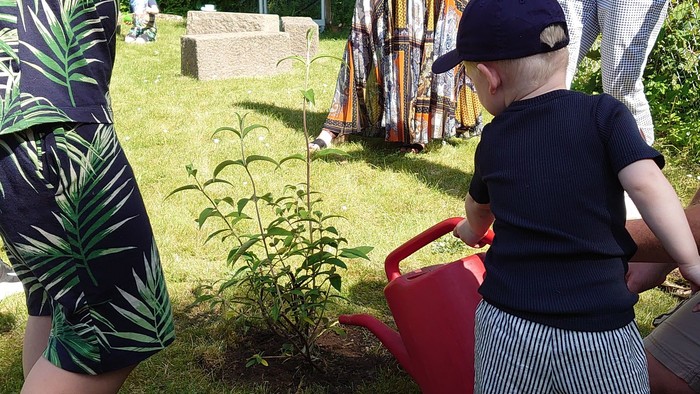En mand og en lille dreng planter en plante i haven, mens andre ser til.