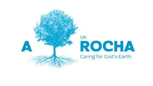 Eco Church Newsletter - July