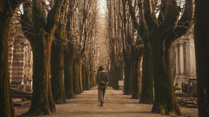 Person läuft einen Baumweg entlang