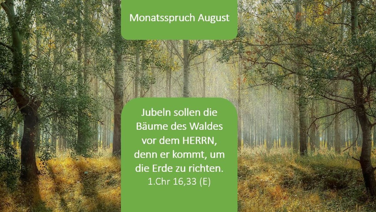 Glaubensimpuls zum Monatsspruch August