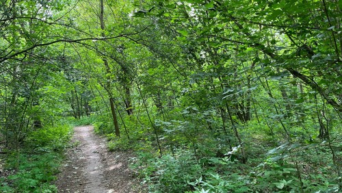 Liebe to go - Grunewald! - Abschlussandacht am 23.09.22