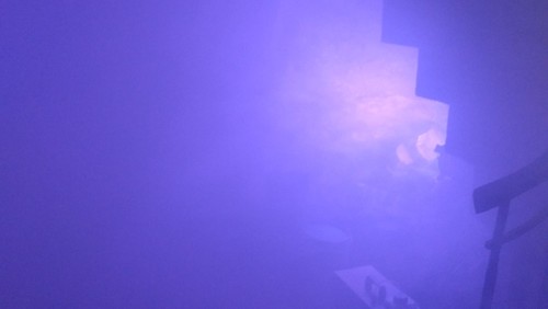 OrganoVino 2022: IRRFAHRTEN