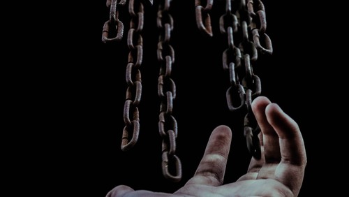Sermon for the 11th Sunday After Pentecost: Any Practice that Aims to Set Humans Free