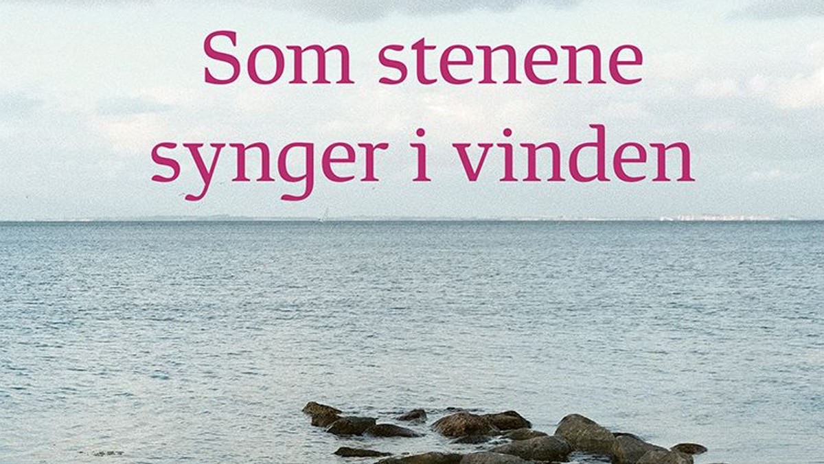 Sangeftermiddag med Niels Johansen