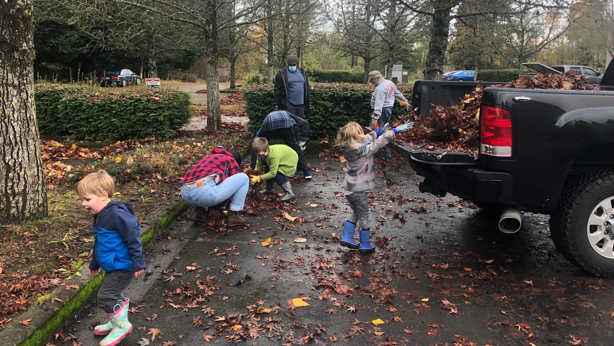Work Party Nov. 12th 9am-3pm: Raking our Leaves & Cleaning off the Roof