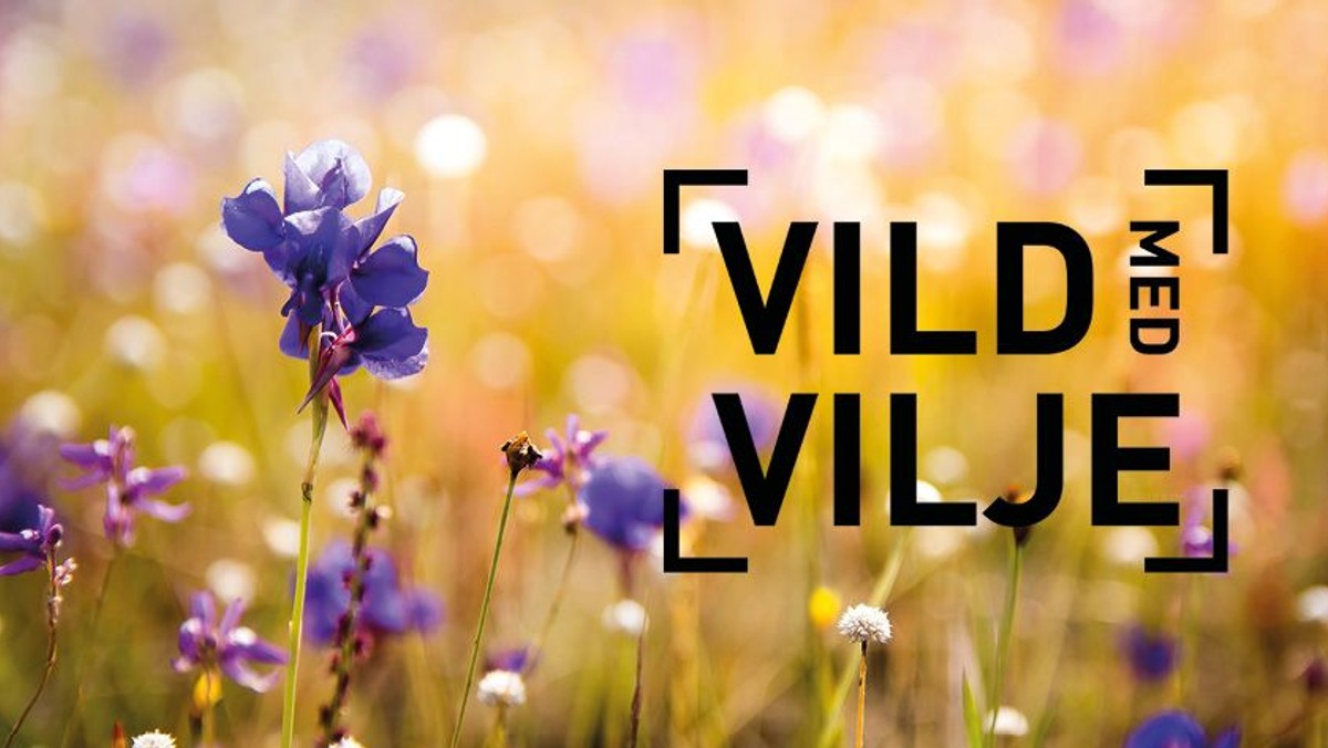 Vild med vilje kirkgård