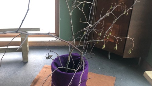 Jesse Tree in the Narthex - Giving Back this Advent Season