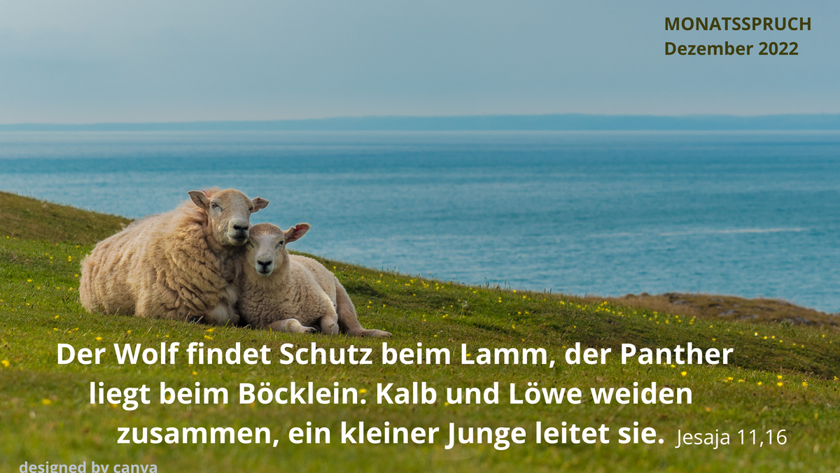 Monatsspruch Dezember