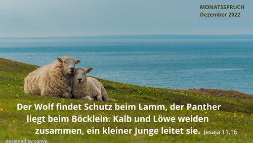 Monatsspruch Dezember