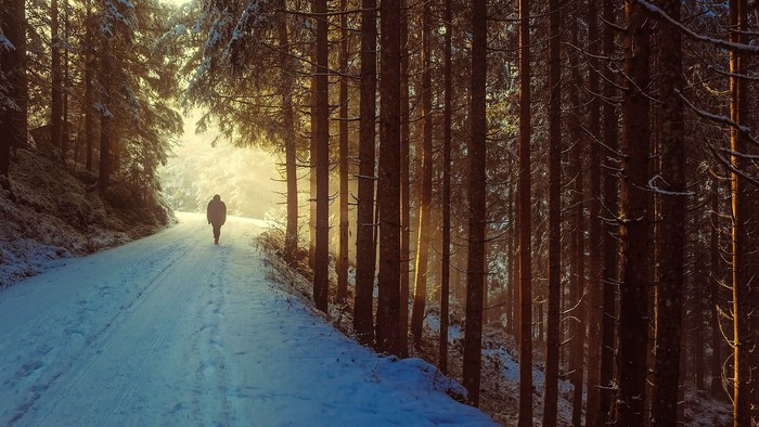 Eine einsame Gestalt geht einen schneebedeckten Pfad durch einen friedlichen, sonnenbeschienenen Wald.