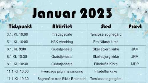 Aktivitets liste januar