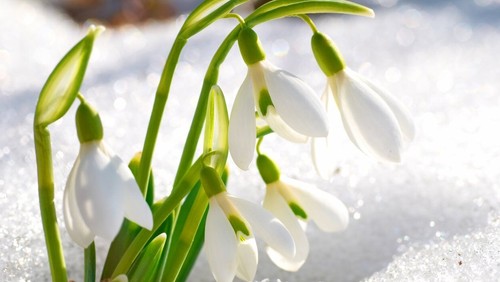 Nyhedsbrev for februar