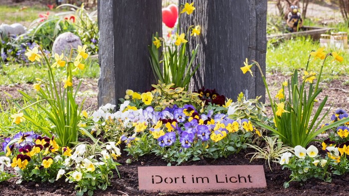 Blumenbeet mit Schild "Dort im Licht" um Baumstamm