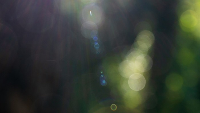 Verzerrte, farbige Lichtflecken vor dunklem Hintergrund