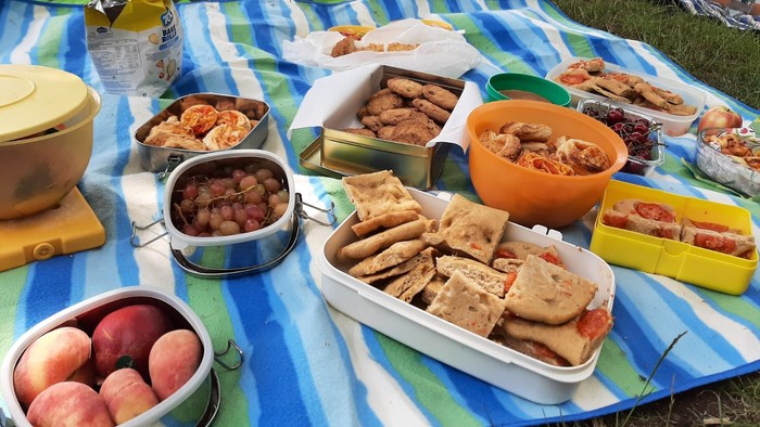 Ein Picknick mit verschiedenen Speisen und Snacks auf einer Decke im Freien