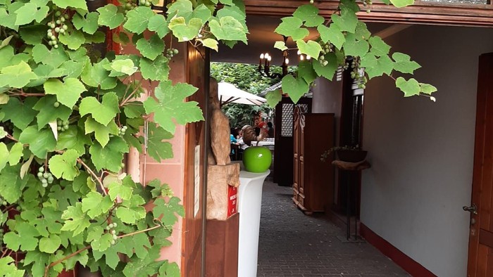 Pflanzen ranken an Hauswand, Kiesweg vor Haus.