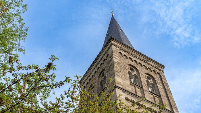 Der Kirchturm ragt hoch hinter den Bäumen auf, der Himmel ist klar blau