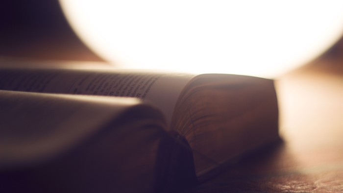 Ein offenes Buch, das in warmes Sonnenlicht getaucht ist und eine ruhige, kontemplative Atmosphäre schafft.