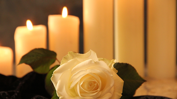 Weiße Rose vor brennenden Kerzen