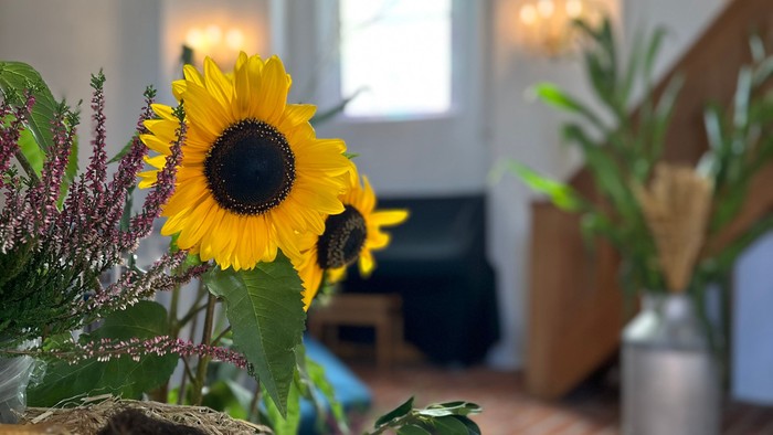 Lysende solsikkebuket hviler på rustikt hø med grønt i en blødt oplyst indendørs omgivelse.