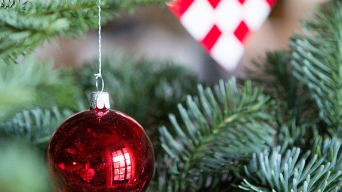 En rød glaskugle hænger på en julgran.