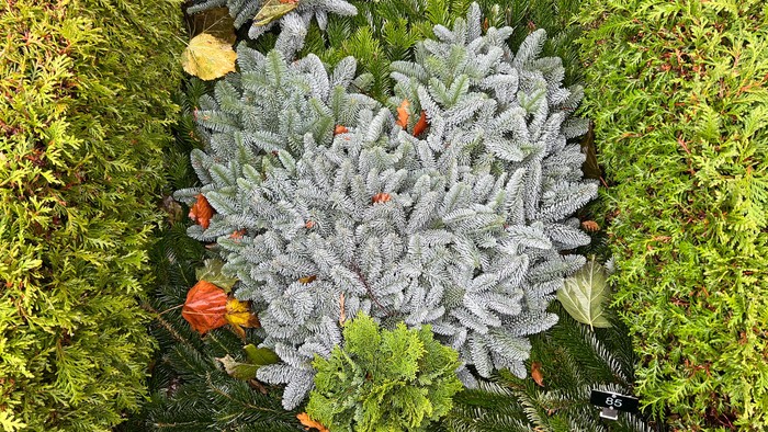 En hjerteformet pyntning af grønne og blå grene med blomster.