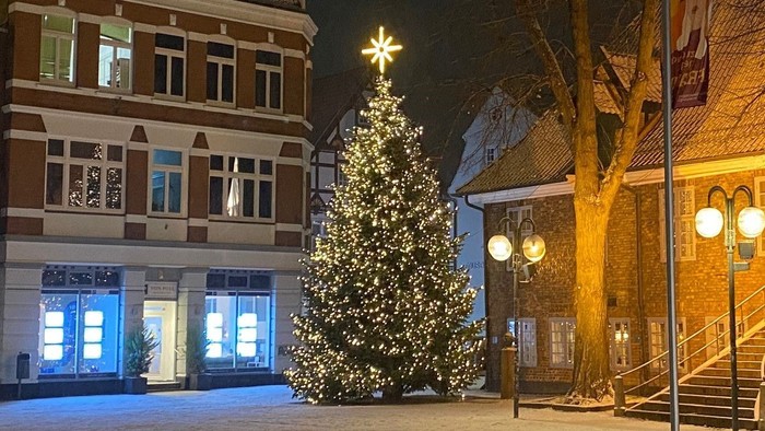 Weihnachtsbaum vor altem Gebäude bei Nacht