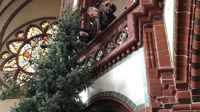 Großer Weihnachtsbaum vor Kirchenfenster mit buntem Glas.