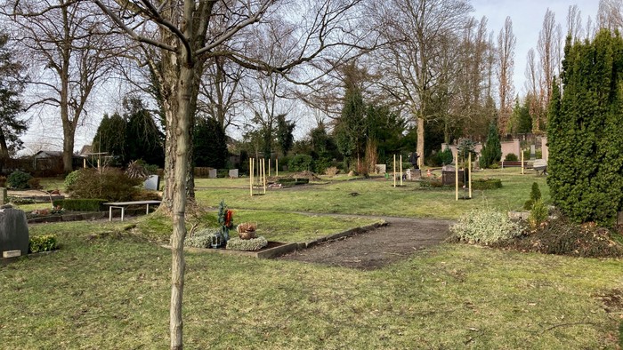 Ein Park mit Bäumen und Grasfläche, Menschen sitzen auf Bänken
