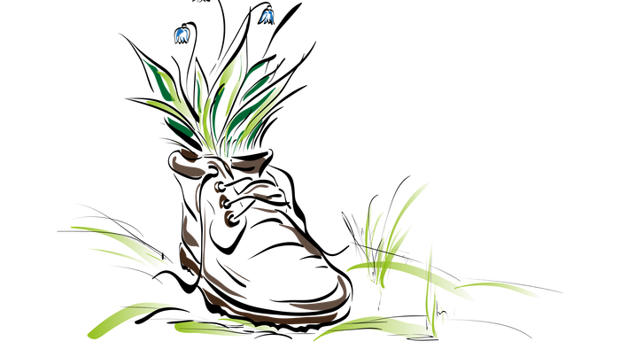 Ein Schuh mit Pflanzenwachstum auf schwarzem Hintergrund