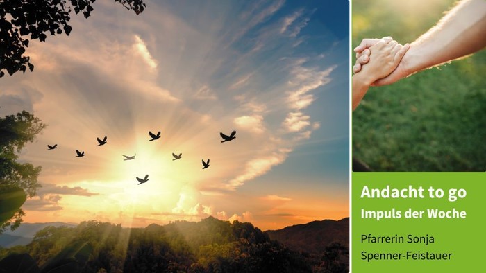 Vögel fliegen bei Sonnenuntergang, Hand hält einen Stein, Text: Andacht to go, Impuls der Woche