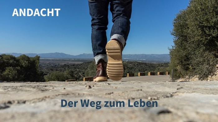 Person steht auf Felsen, Blick auf Landschaft, Text: "Der Weg zum Leben"