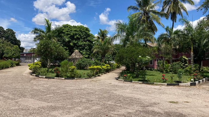 Tropischer Garten mit Palmen und blühenden Pflanzen unter blauem Himmel
