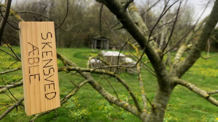 En trægren med et skilt der siger "Skænsyet Table" og en græsplæne i baggrunden