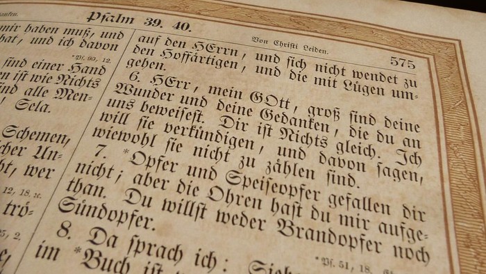 Ein offenes Buch mit deutschem Text und eine rosa Blume im Hintergrund