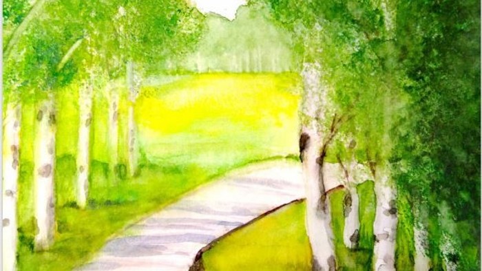 Ein geschlängelter Pfad durch einen üppig grünen Wald mit hohen Bäumen.