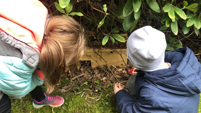 Zwei Kinder knien im Gras und schauen in ein Loch.