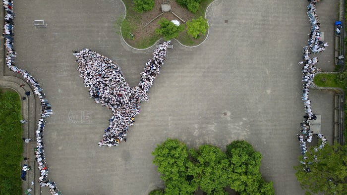 Vögel aus Menschen in Parkanlage