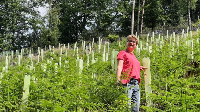 Mann steht in einem Feld mit jungen Bäumen.
