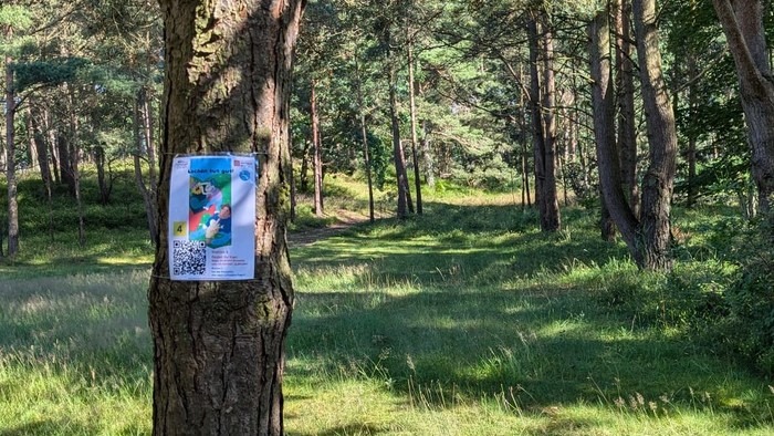 Ein Waldweg mit einem Baum, an dem ein farbenfrohes Plakat hängt.
