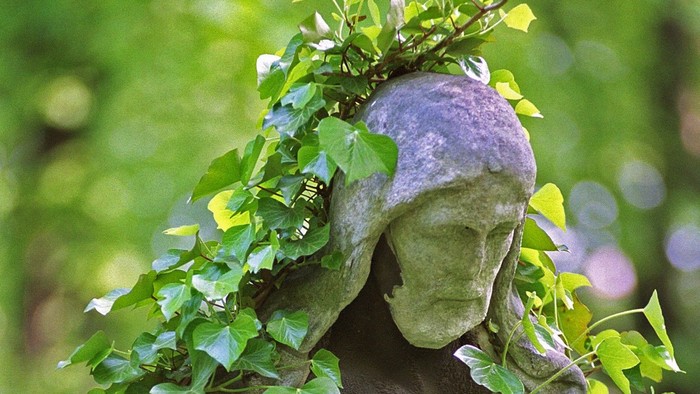 Blog image