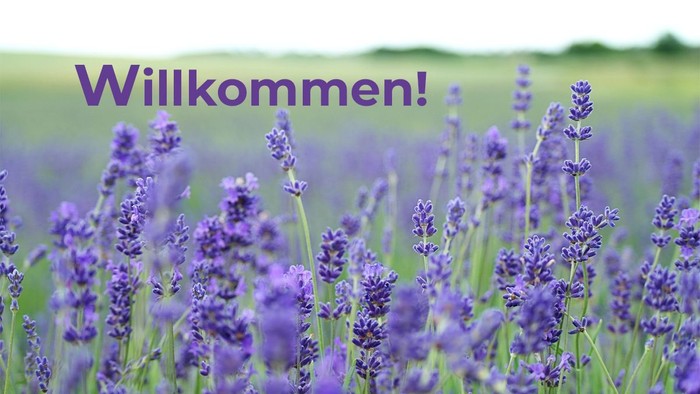 Text "Willkommen!" über blühendem Lavendelfeld.