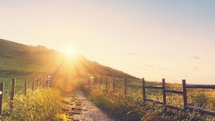 Sonnenaufgang und Wegweiser