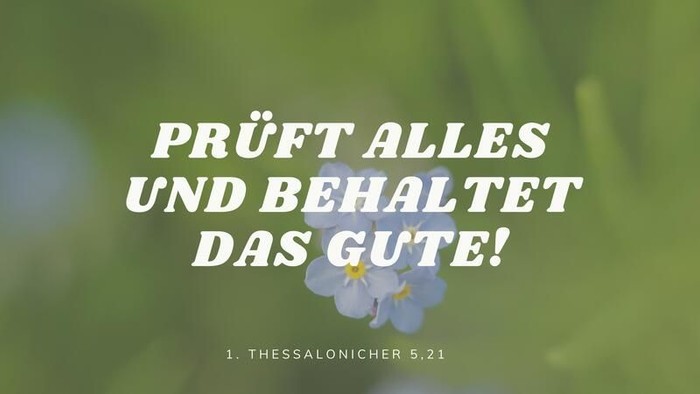 Bild mit blauer Blume und grünem Hintergrund, Text: "PRÜFT ALLES UND BEHALTET DAS GUTE!"