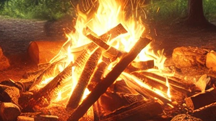 Ein Lagerfeuer im Wald mit brennenden Holzscheiten und umgebenden Baumstämmen